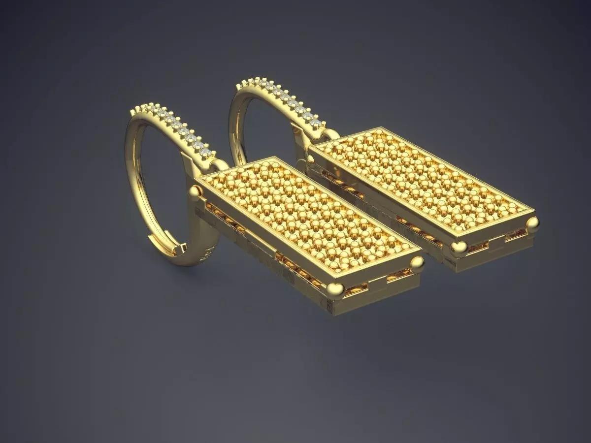 Rectangle-Shaped Textured Beautiful Earrings 3D print model_0