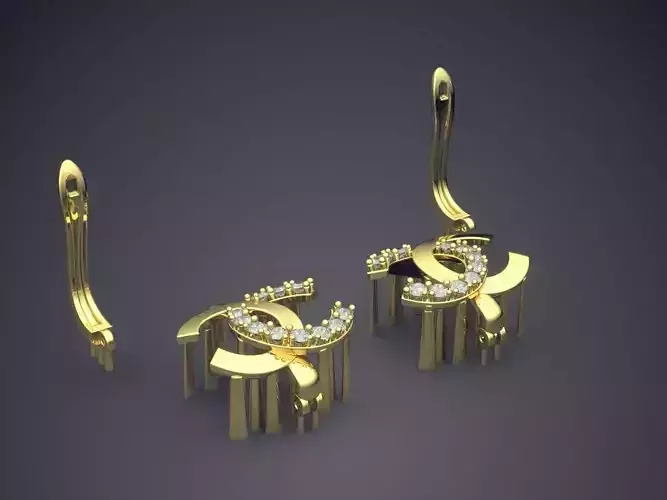 Classic Luxurious Earrings
