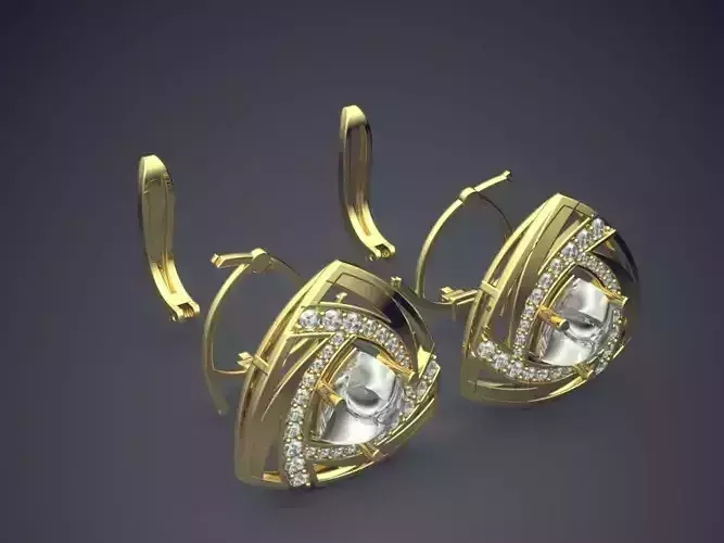Earrings With Diamonds 2970