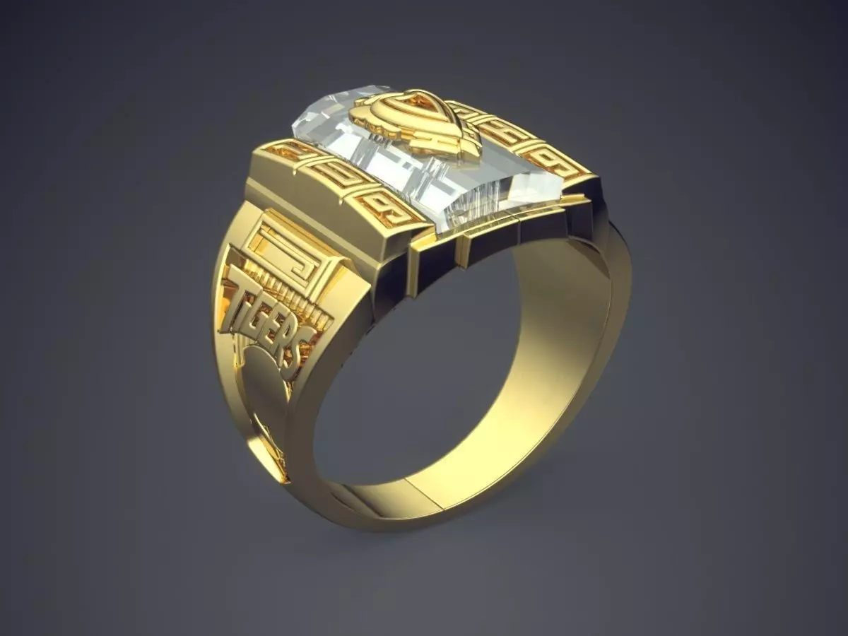 Thick Engraved Ring 2940 3D print model