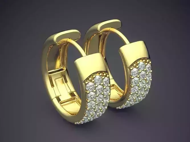Lovely Elegant Extraordinary Elegant Earrings for Women