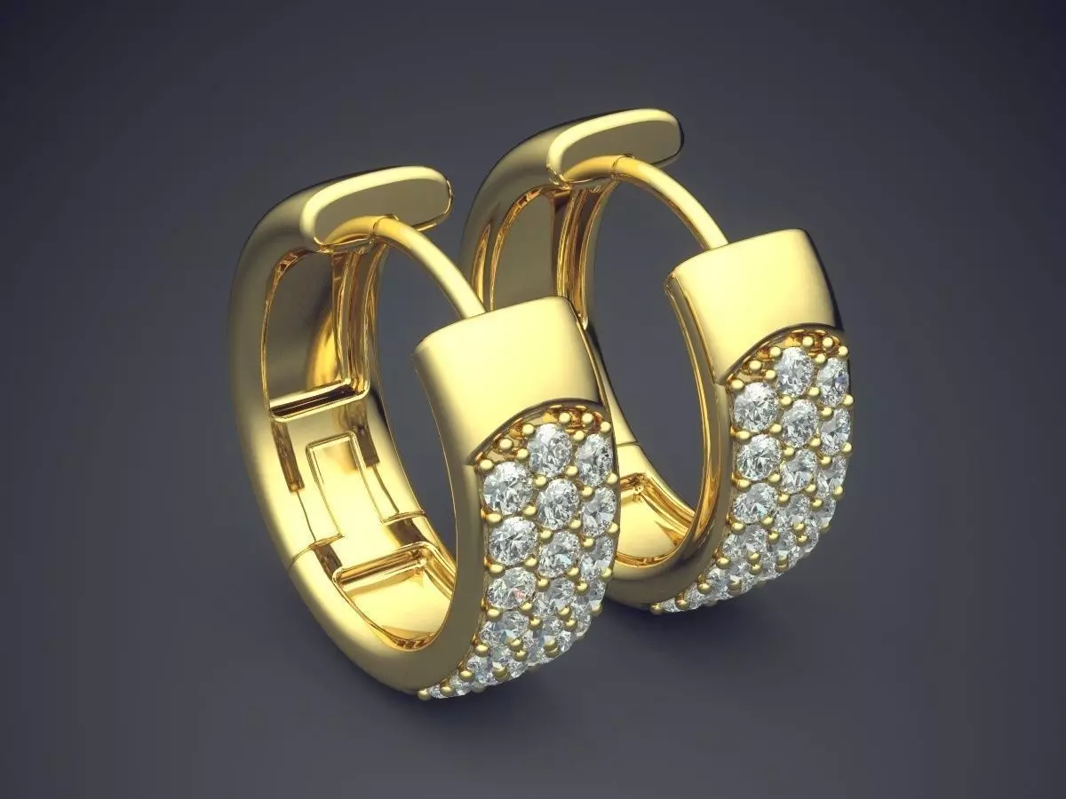 Lovely Elegant Extraordinary Elegant Earrings for Women 3D print model