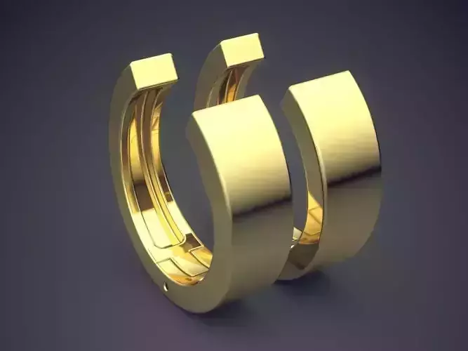 Simple Statement Earrings