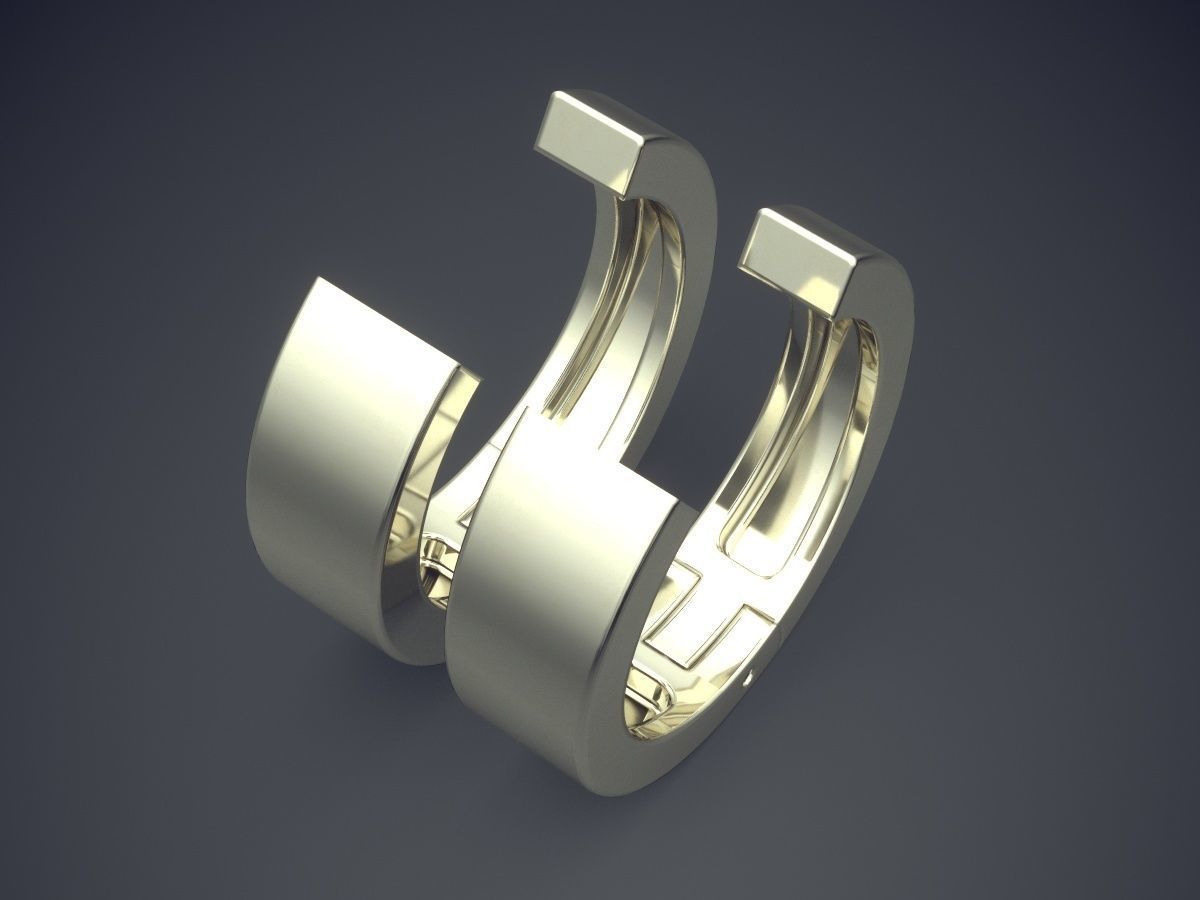 Simple Statement Earrings 3D print model_1