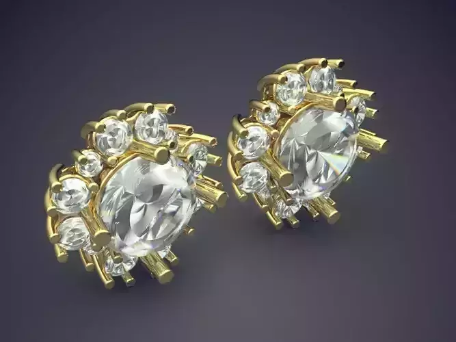 Detailed Earrings 2756