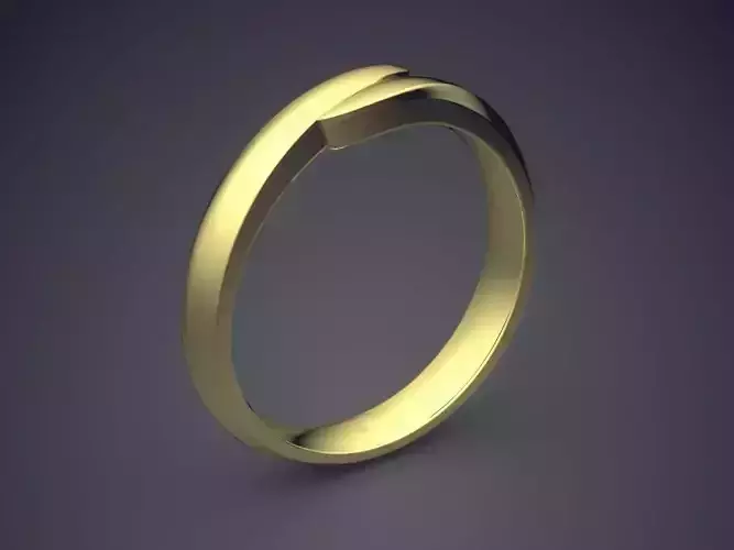 Ring 2595 3D print model