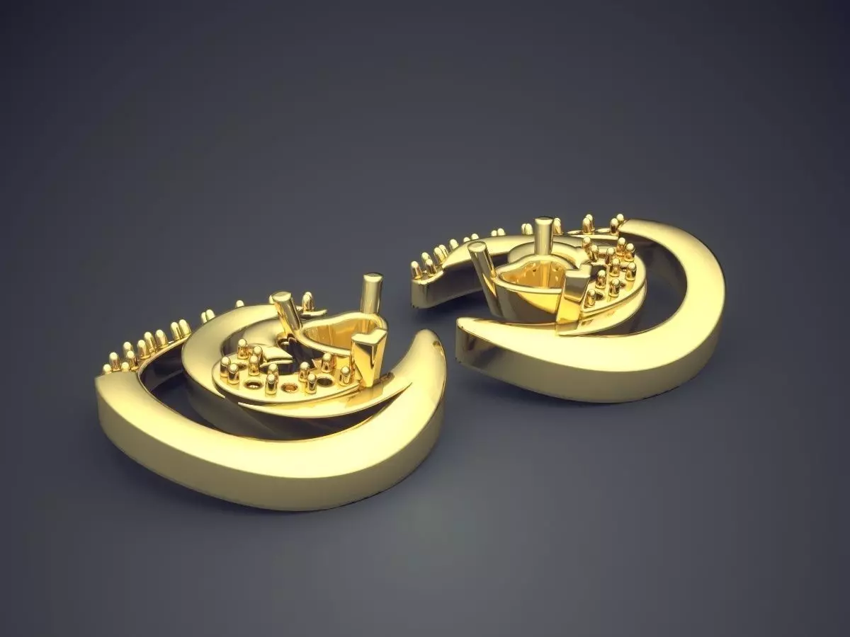 Beautiful Girly Detailed Earrings 3D print model