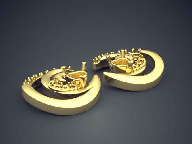 Beautiful Girly Detailed Earrings 3D print model