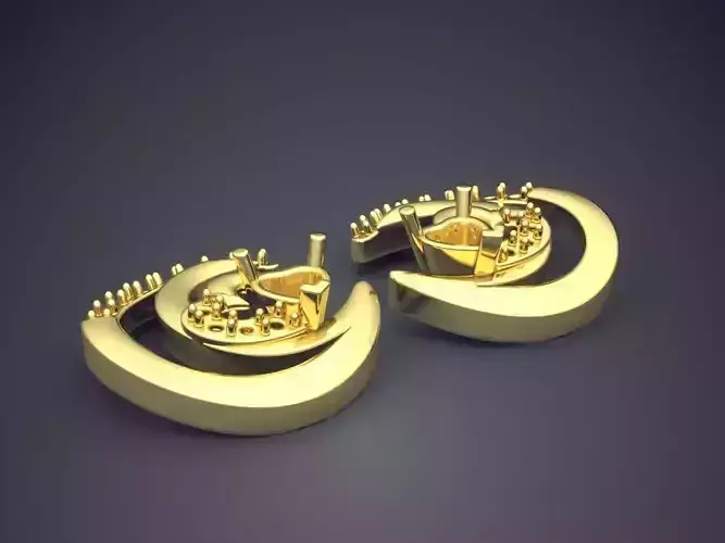 Beautiful Girly Detailed Earrings