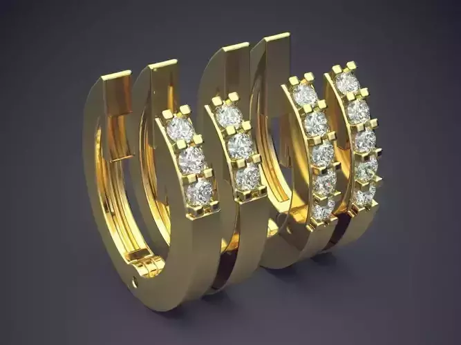 Stunning Luxurious Earrings