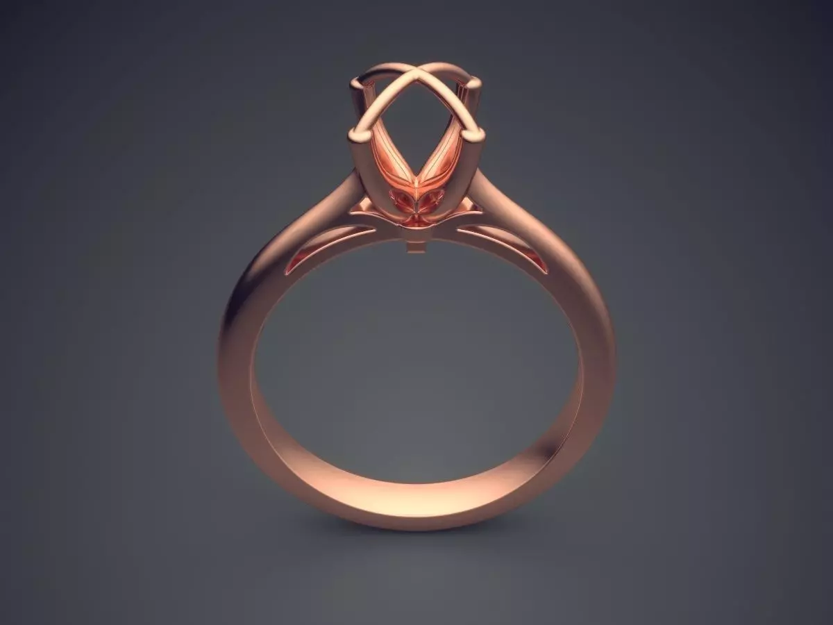 Ring 2294 3D print model_2