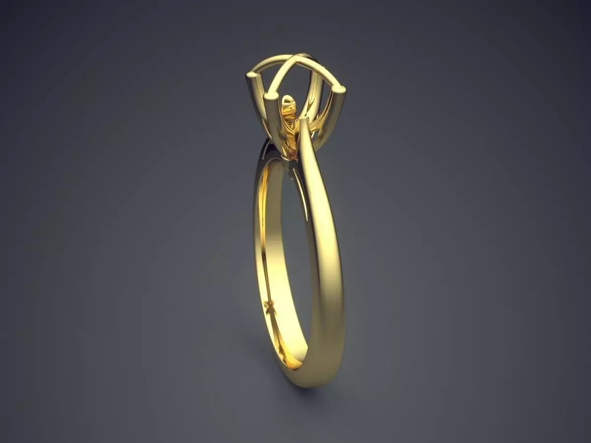 Ring 2294 3D print model_3