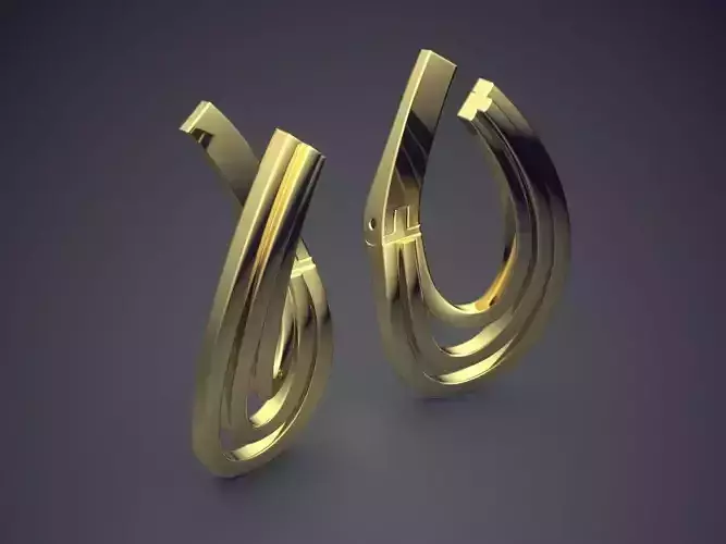 Extraordinary Stylish Earrings