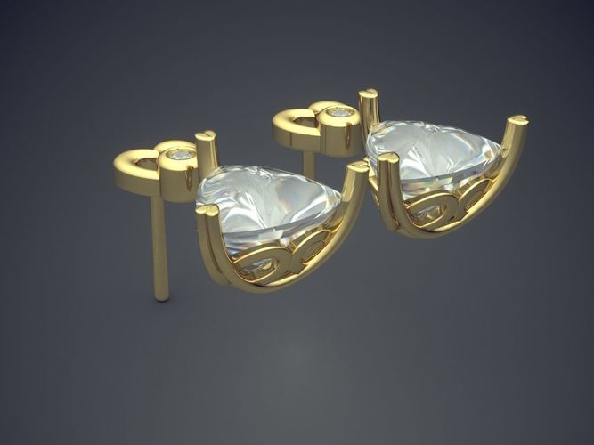 Fancy Classy Earrings 3D print model