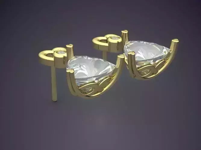 Fancy Classy Earrings