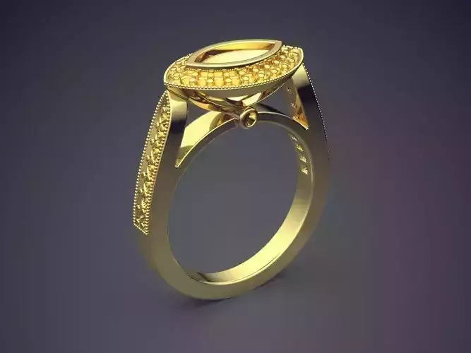 Ring 2124 3D print model