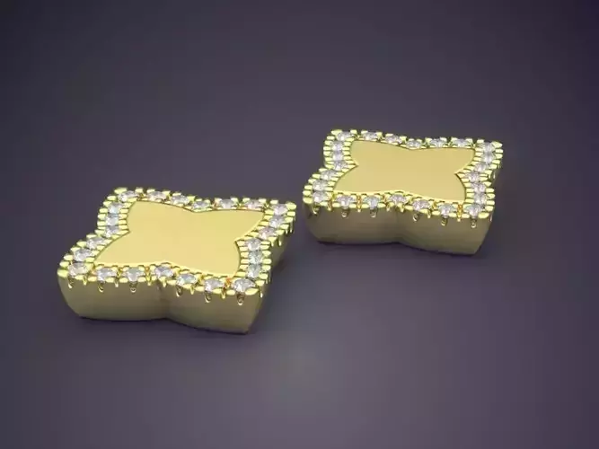 Lovely Extraordinary Elegant Earrings for Women