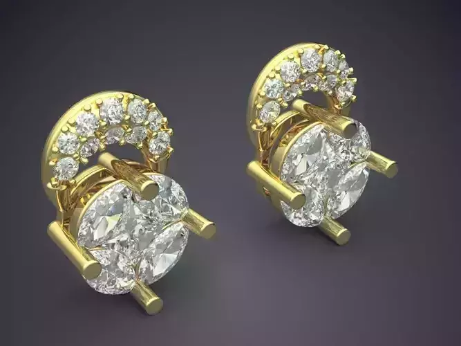 Gorgeous Simple Design Earrings