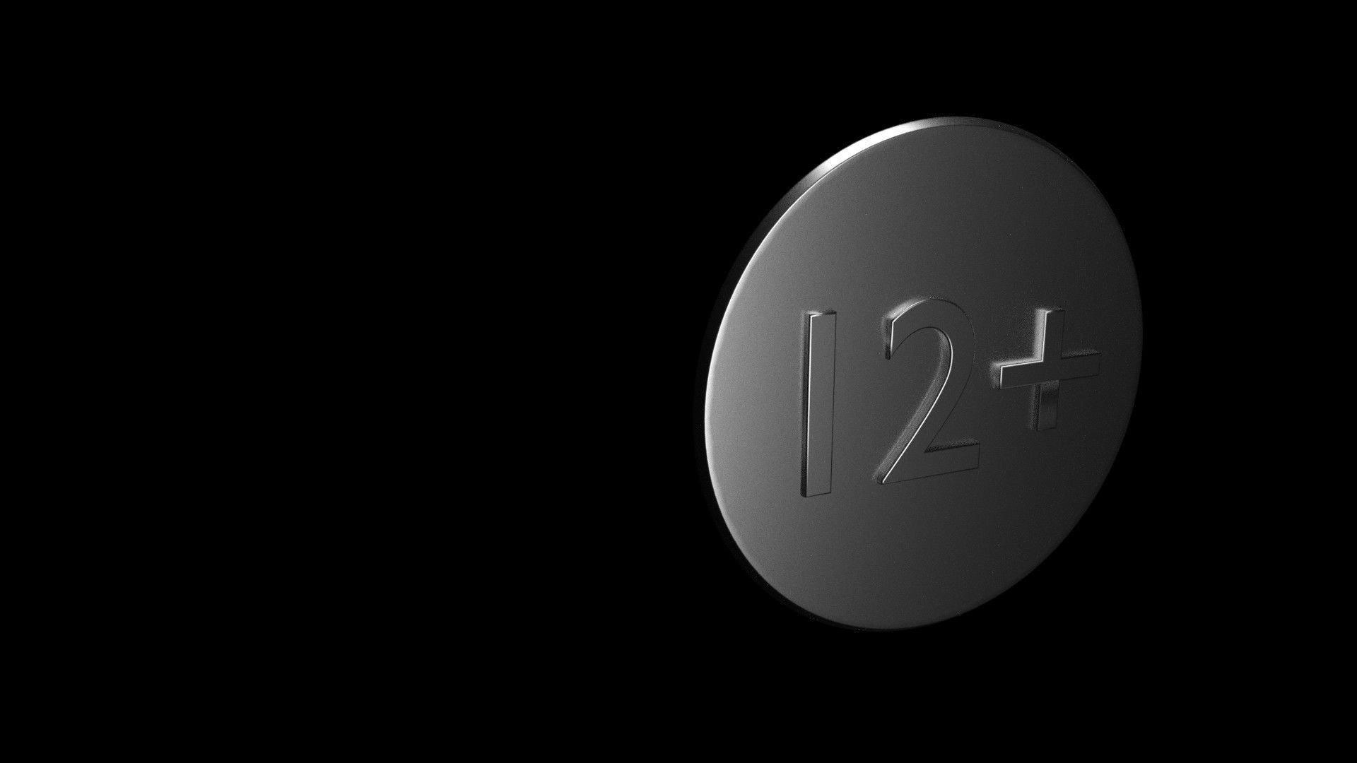 Twelve plus 2 3D model_6