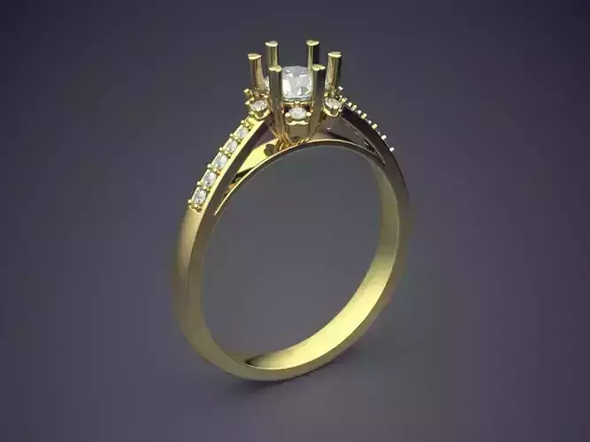 Precious Engagement Ring with Small Diamonds