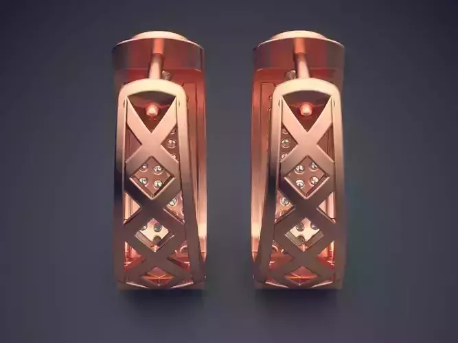 Thick Earrings With Diamonds 1666