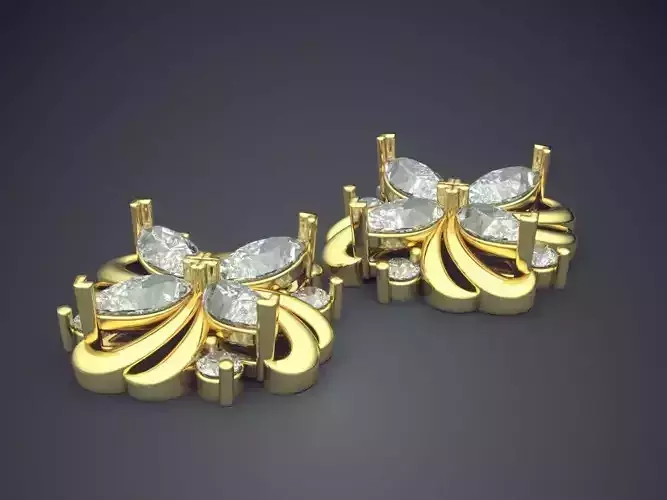 Beautiful Extraordinary Earrings