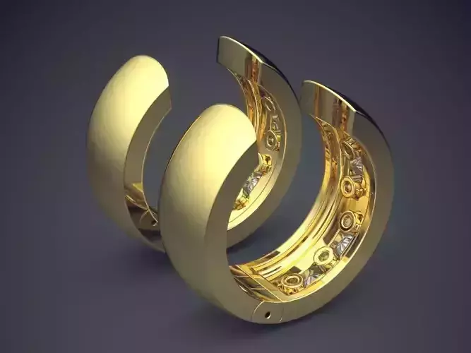 Classic Thick Ring-Earrings 1559