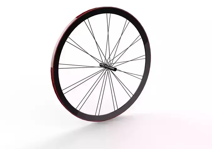 Rim 1 bicycle wheel
