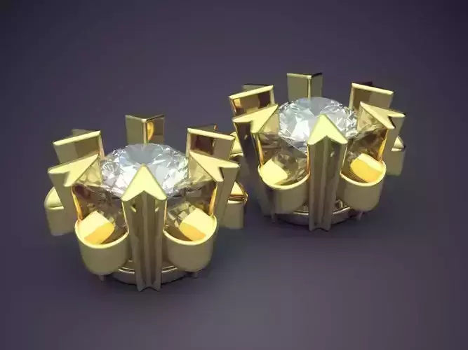 Lovely Extraordinary Elegant Earrings for Women 1207