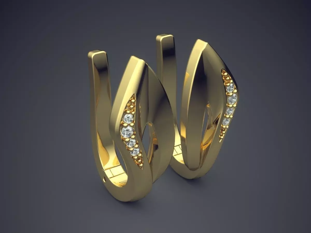 Astonishing Unique Earrings for Classy Women 1098 3D print model