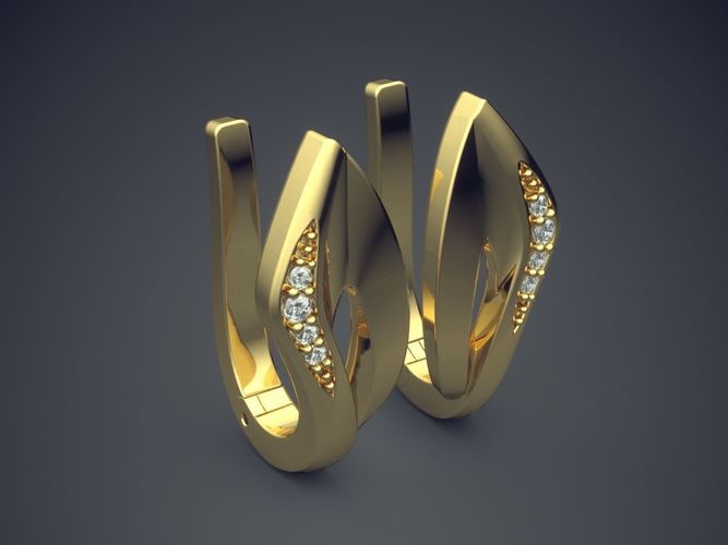 Astonishing Unique Earrings for Classy Women 1098 3D print model