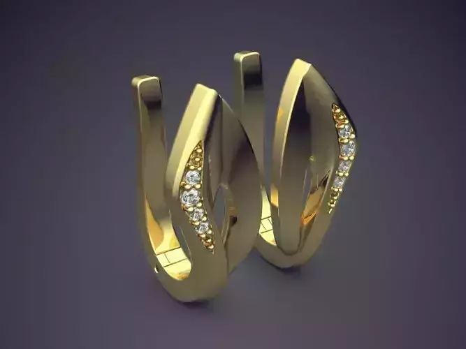 Astonishing Unique Earrings for Classy Women 1098