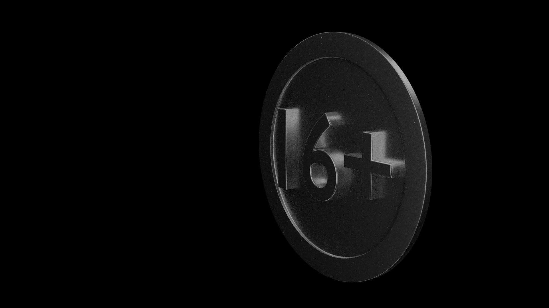 Sixteen plus 1 3D model_1