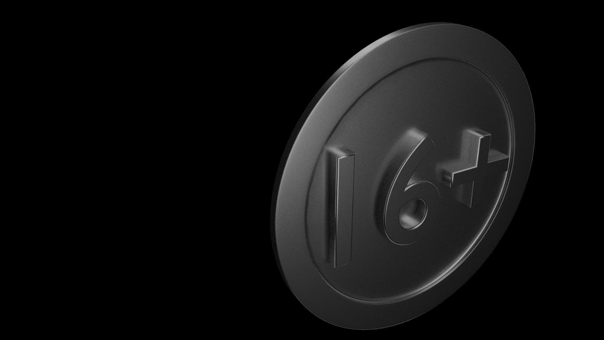 Sixteen plus 1 3D model_2