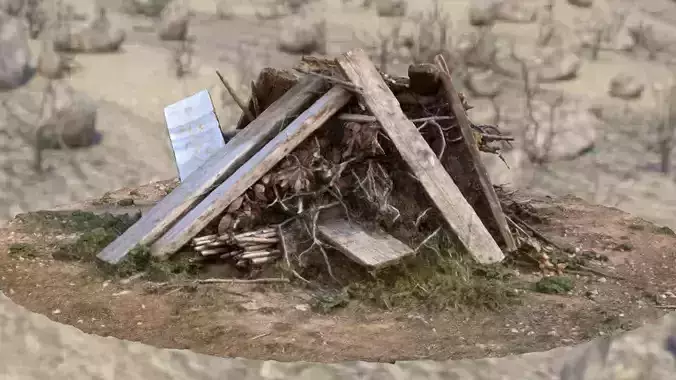 Wood Debris PhotoScan