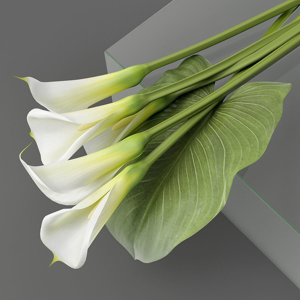 Bouquet with Calla lilies 3D model_2