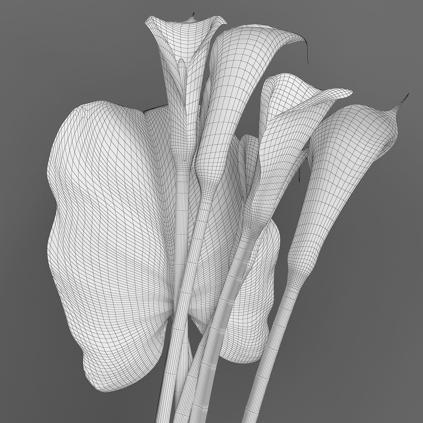 Bouquet with Calla lilies 3D model_4