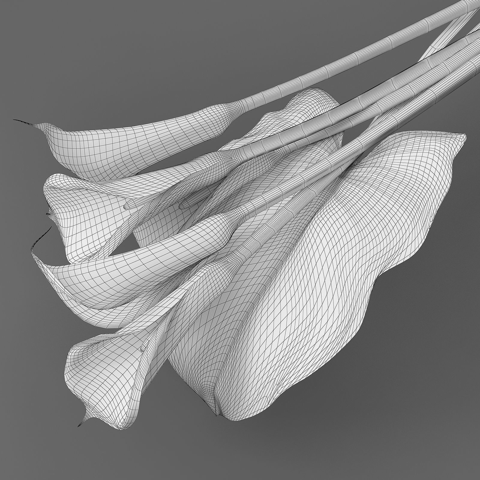 Bouquet with Calla lilies 3D model_3