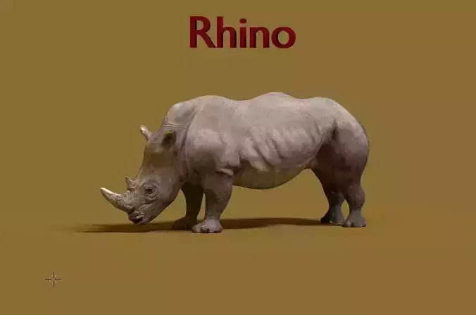 rhino 3D model