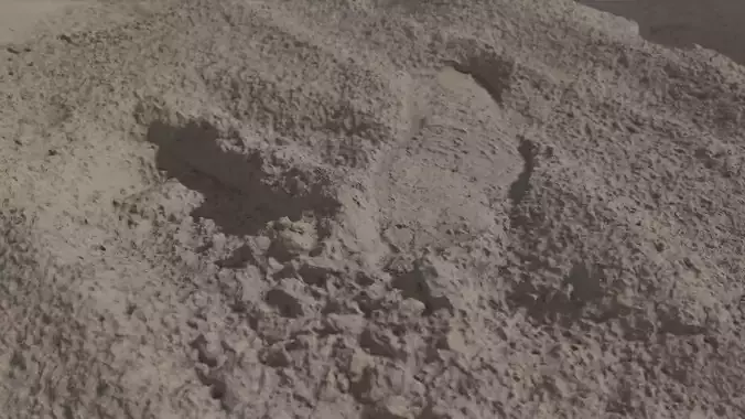 Beach Sand Footprint RAW SCAN