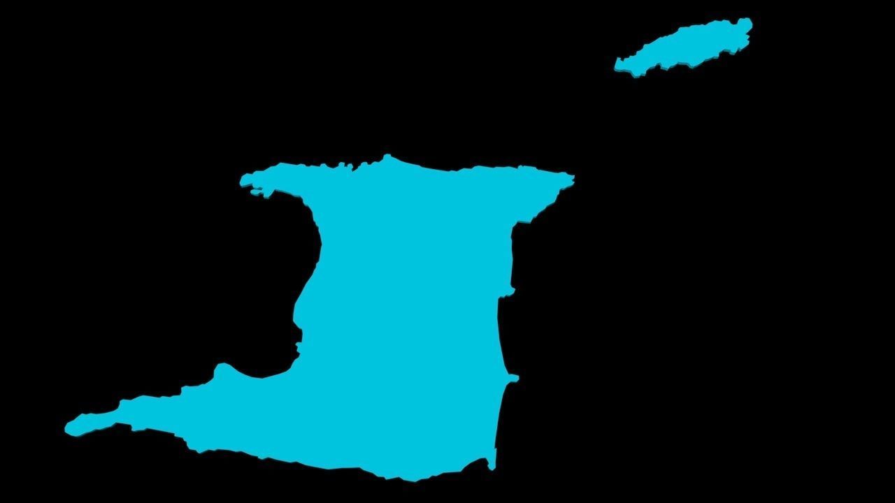 Trinidad and Tobago Streets and Buildings 3D model_5