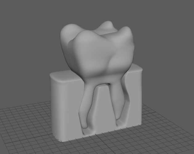 Printable Tooth 3D print model