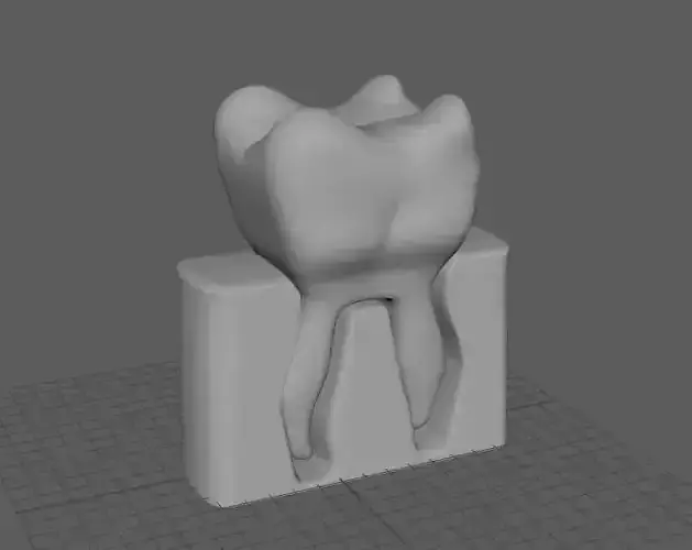 Printable Tooth 3D print model