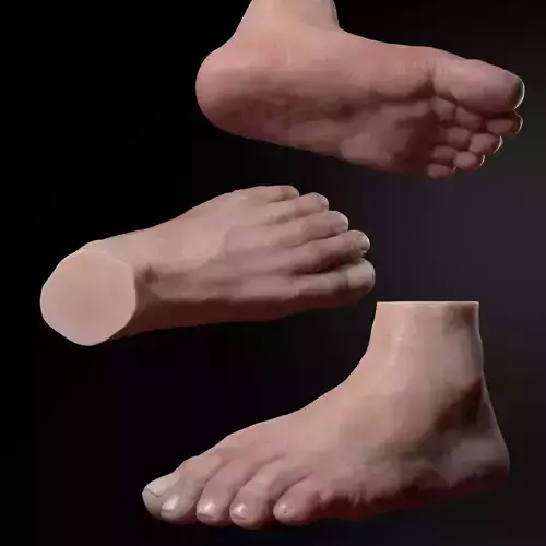 Foot Zbrush 