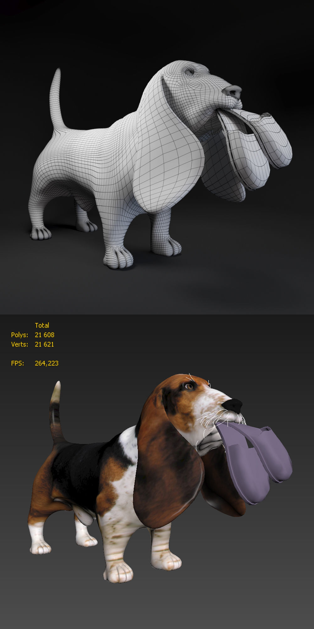 Basset Hound 3D model_2