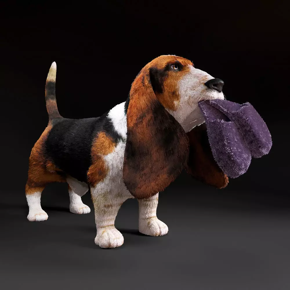 Basset Hound 3D model_0
