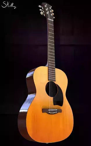 Ibanez style acoustic guitar