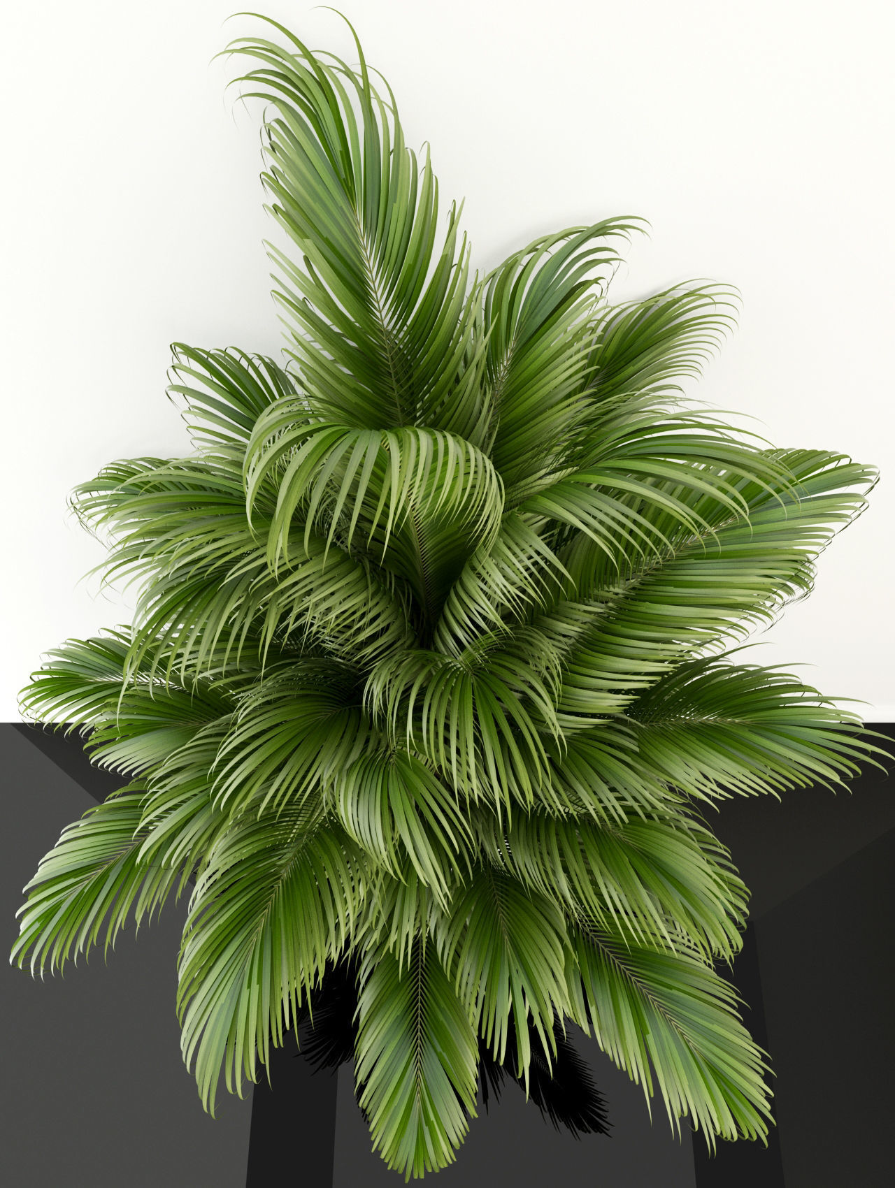 Plants collection 107  3D model_3