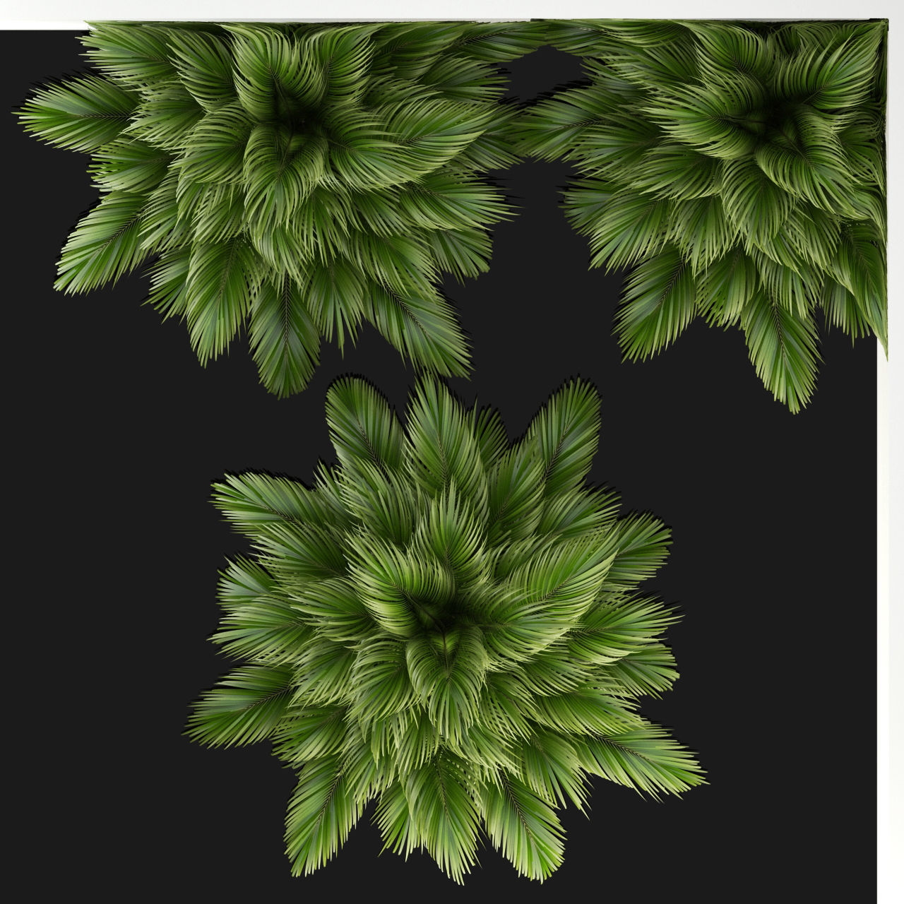 Plants collection 107  3D model_1