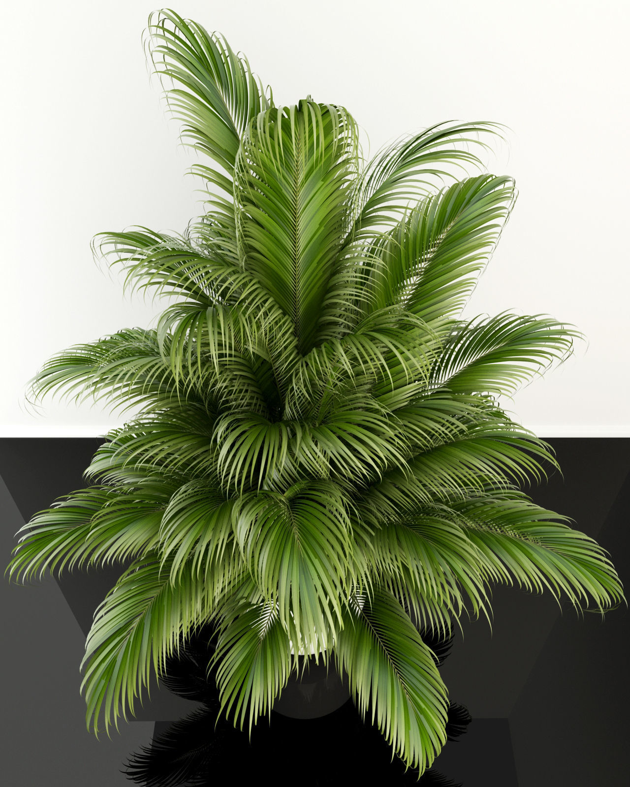 Plants collection 107  3D model_4